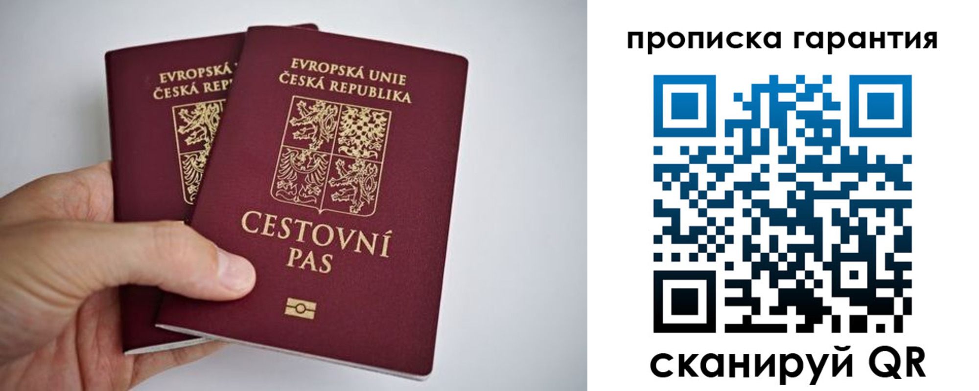 прописка в Медногорске